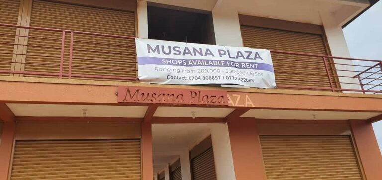 cd3c33fb db45 45f5 aa95 430075312fa6 768x363